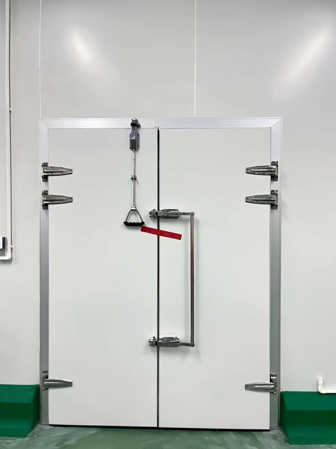Double Hinge Cold Room Door
